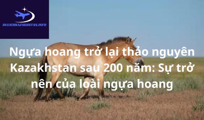 Ngựa hoang trở lại thảo nguyên Kazakhstan sau 200 năm: Sự trở nên của loài ngựa hoang